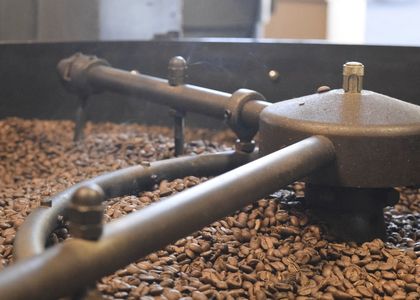 Beans turning in the roasting drum